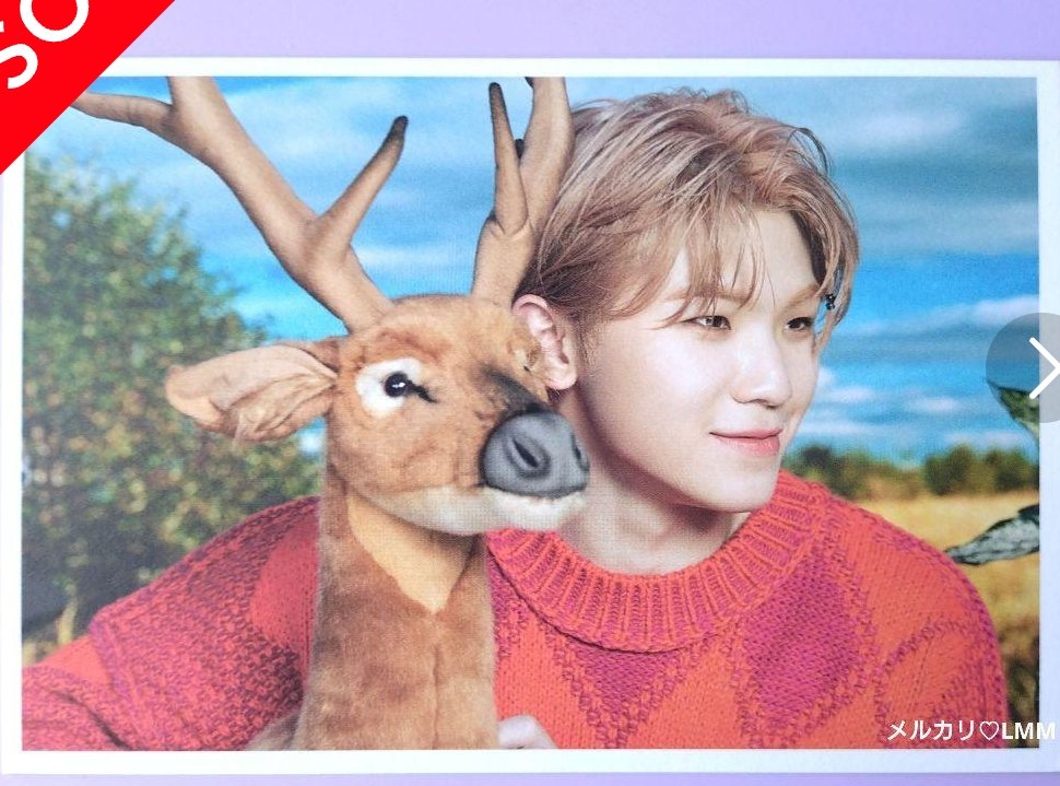 その他 photocard 2ji photocard???