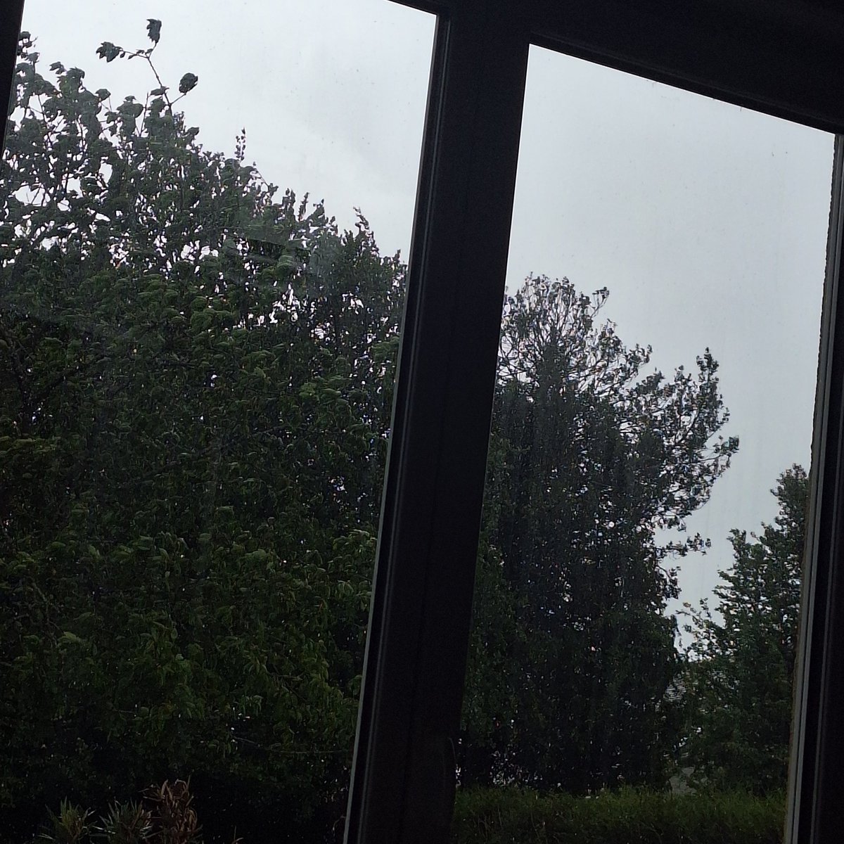 sieunwinwink's tweet photo. rainy day, watching weak hero with my sister~ ♡ https://t.co/w7sJgNnZ43