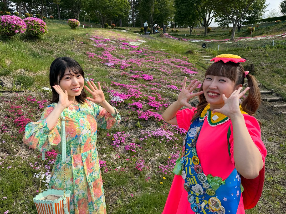 今井日奈子(IBCアナウンサー) tweet media