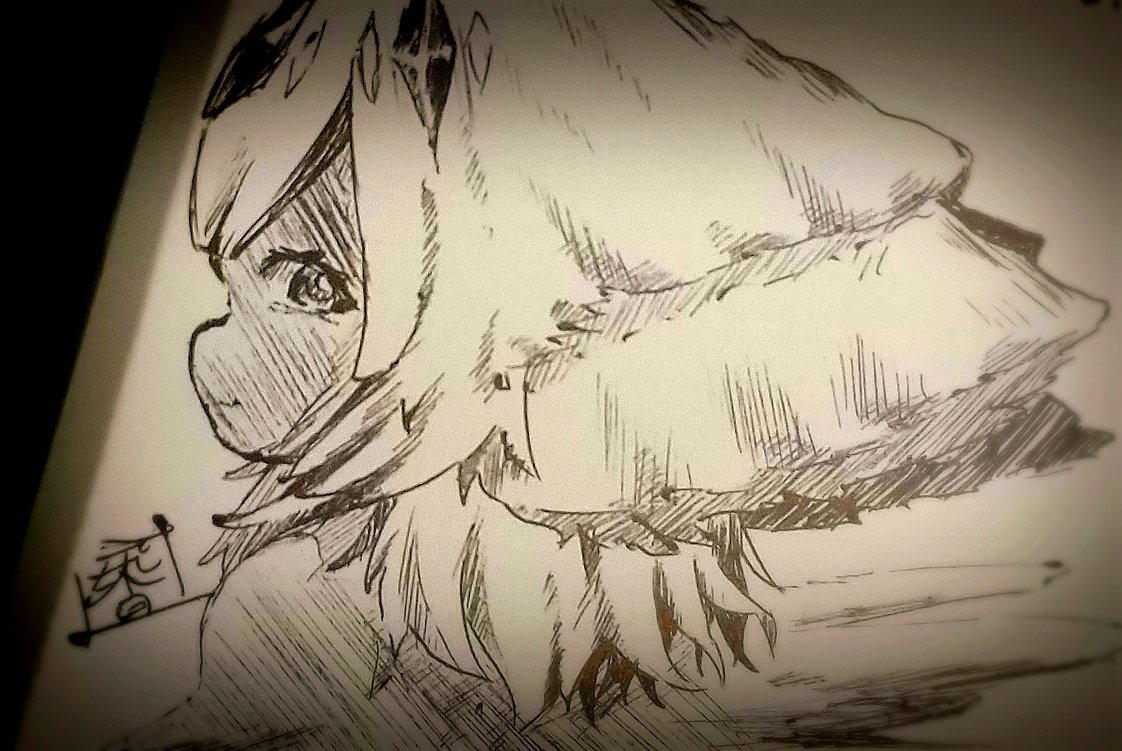 香辛料シナモン tweet media
