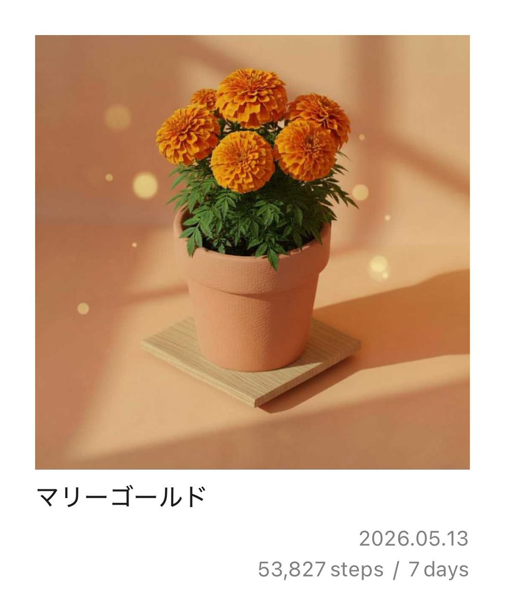 PixelPot マリーゴールドが育ったよ！