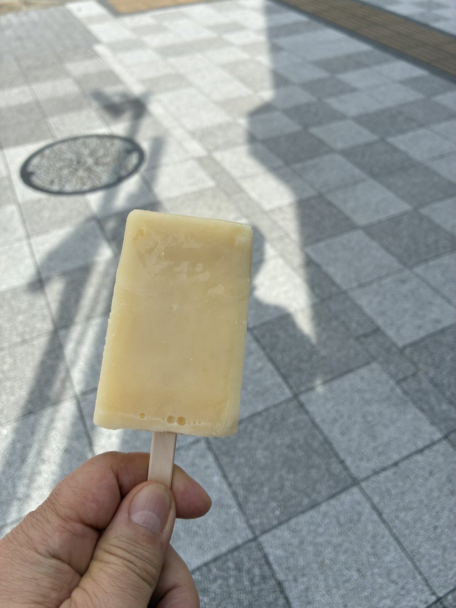 fairlytail's tweet photo. 来週くらいに千キロ点検だね🎵

ガリガリくんリッチ、美味しかった💕
#xmax250
#ガリガリくんリッチ https://t.co/0KVneS9y7H