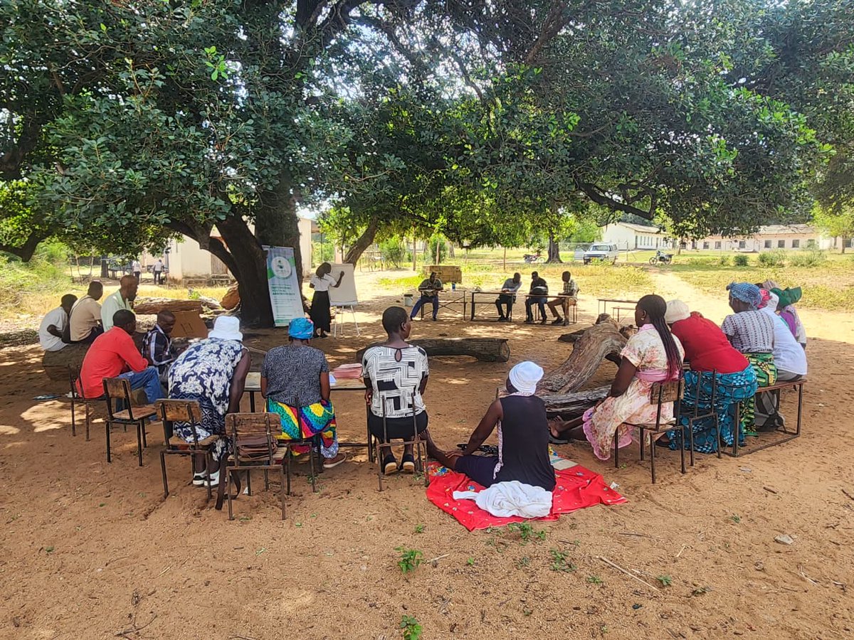 ACTonDRMBill's tweet photo. 💡🌏DRR Field lessons from  Tongogara Refugee &amp; Mahenye area show that vulnerability to climate change is dynamic &amp;  shaped largely by development conditions (social, economic, and institutional)

Tongogara is better positioned with flood sirens, irrigation systems #ACTonDRMBill https://t.co/tTXna6LYBG