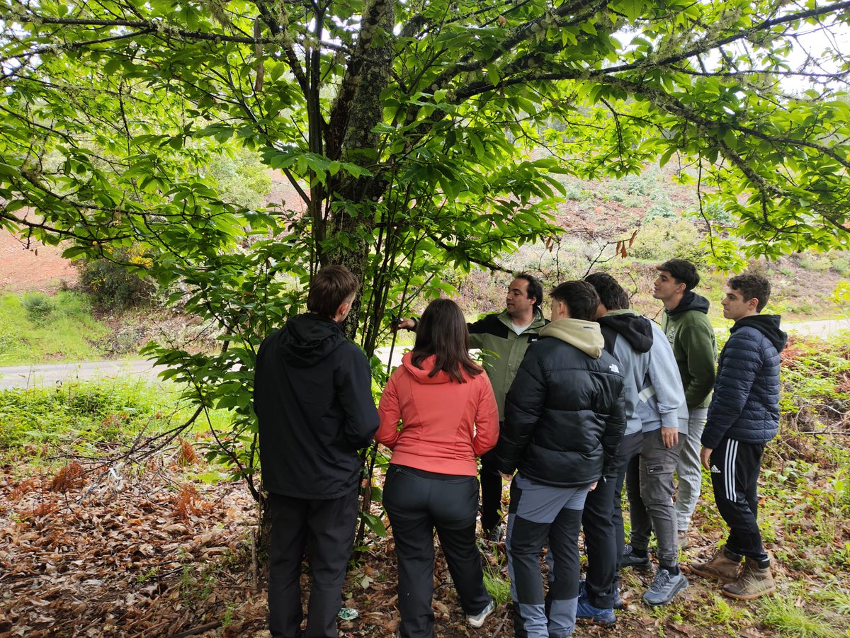 EIAF_ULE's tweet photo. Los alumnos del Grado en Ingeniería Forestal y del Medio Natural realizaron una visita a campo dentro de la asignatura de "Enfermedades y plagas forestales" para observar in-situ daños, síntomas y signos de especies que potencialmente plagas @Unileon_ponfe https://t.co/VIxstMapRH