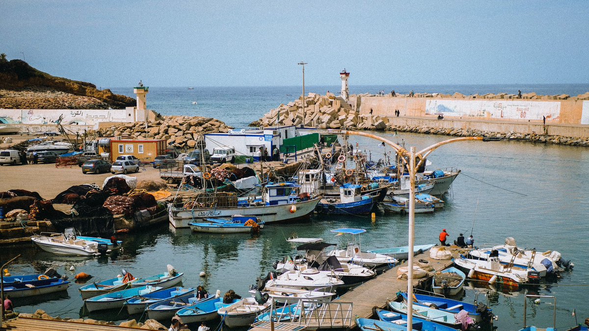 elesi_photo's tweet photo. Alger 🫡🇩🇿 https://t.co/OrW25x1fdG