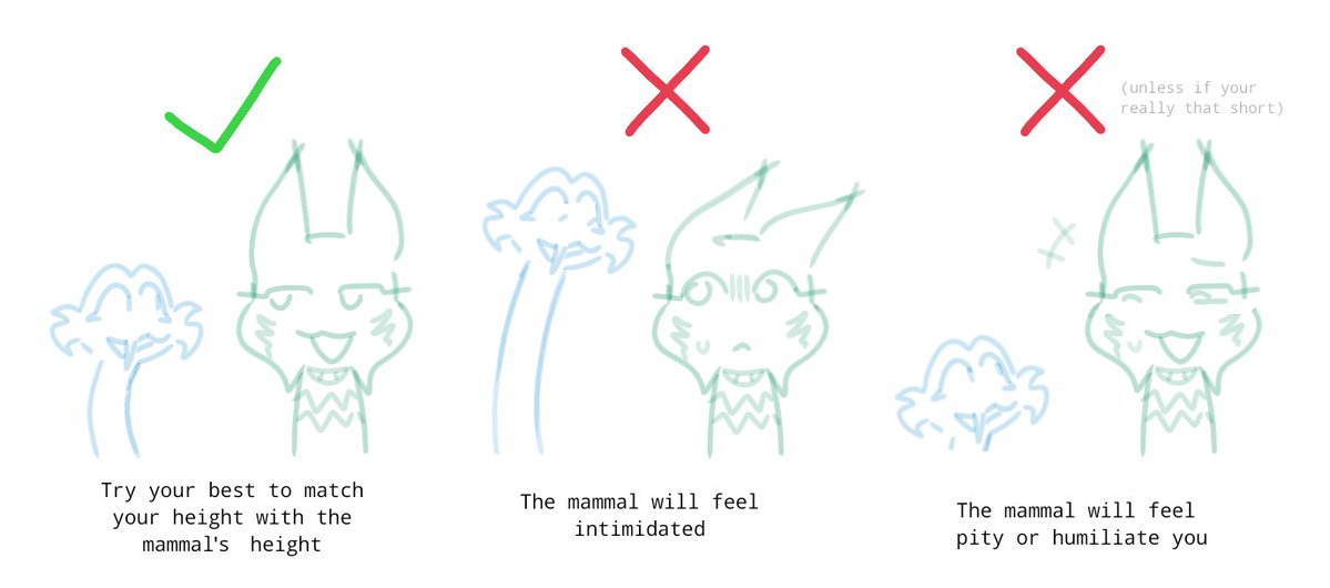✦ alex ¦ 🐍🐱 tweet media
