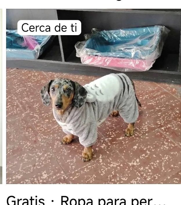 Hood || 🇵🇾 tweet media