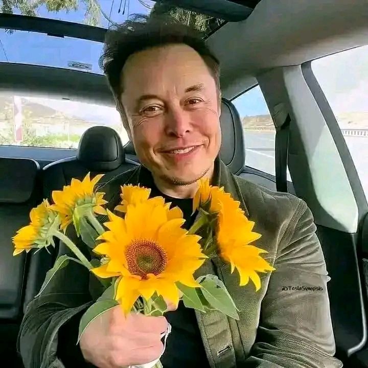 ElonScenario✨ tweet media