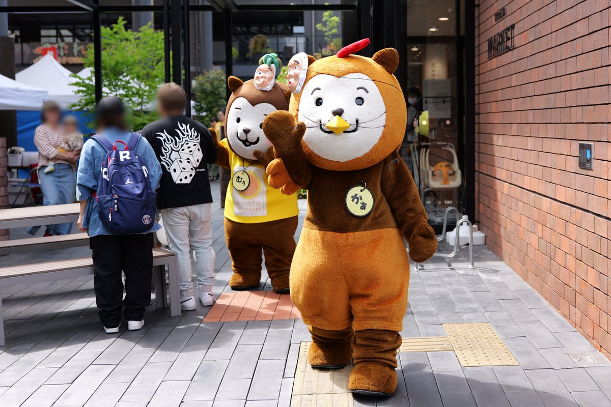 みやざき犬 ひぃくん、むぅちゃん、かぁくん ※ten to ten #みやざき犬