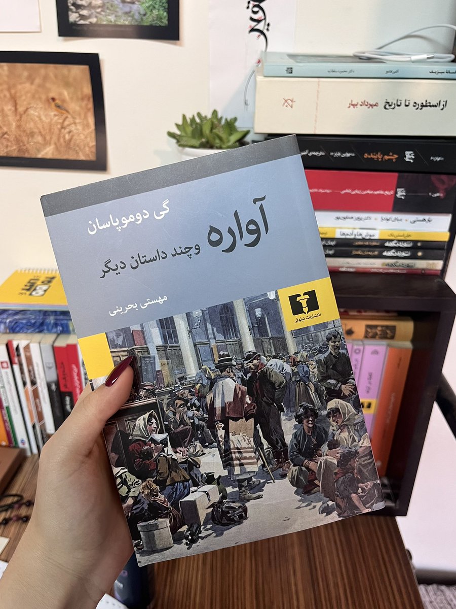 کولی در برف می‌رقصد tweet media