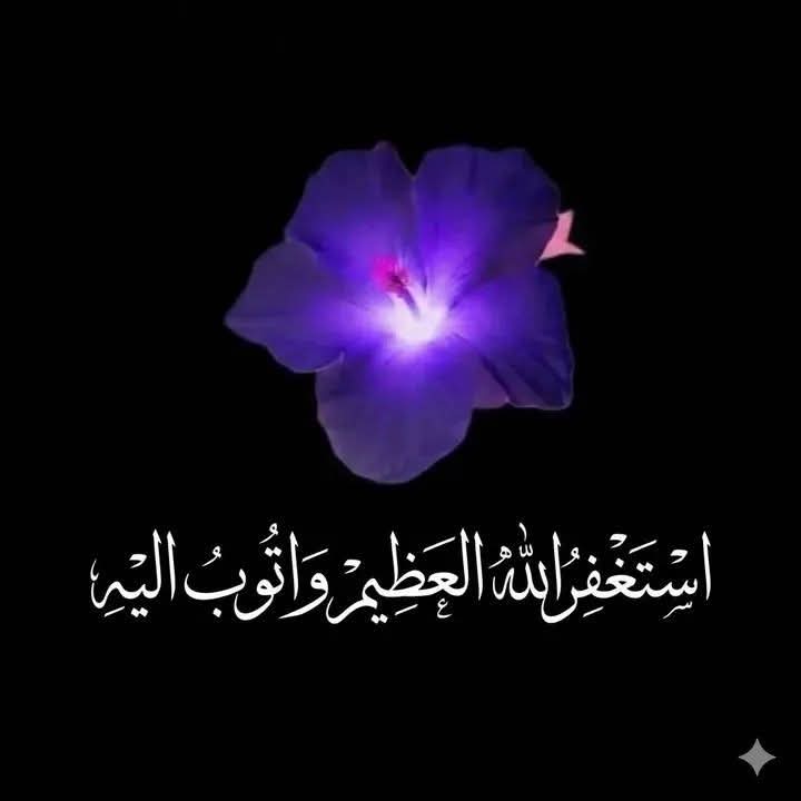 فاروق المشولي tweet media