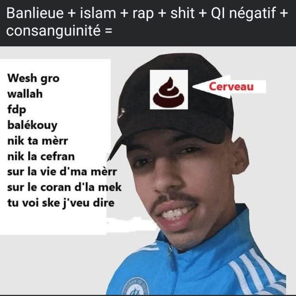 Le roi des singes 👑🦧 tweet media