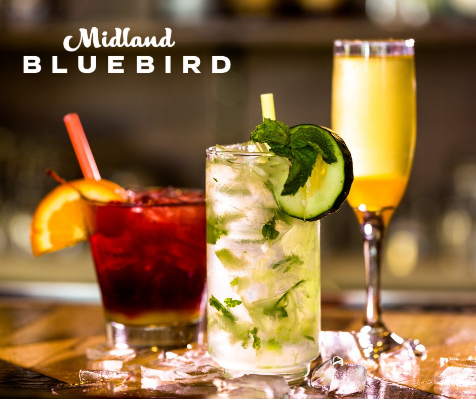 Midland Bluebird tweet media