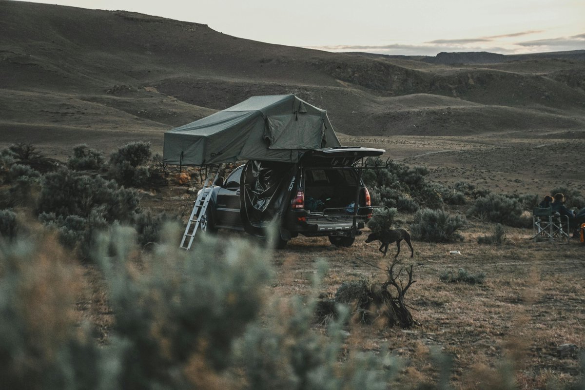 survivsuppcent's tweet photo. If you had to survive with ONLY what’s in your car right now… how long could you make it? 🚗🔥
Hours? Days? Longer?

#Survival #Preparedness #PrepperLife #CampingGear #EmergencyKit #OutdoorSkills #Bushcraft #AdventureReady #SelfSufficient #PrepperCommunity https://t.co/xgH3RSq4h8