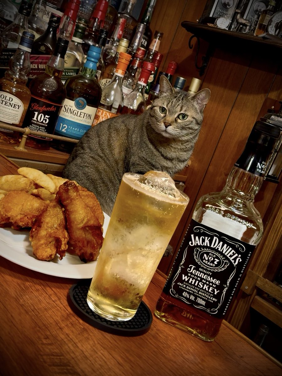 sake_dandyism's tweet photo. 皆さん、ゴロサス😎
今夜は『フライドチキン🍗』と
『JACK DANIEL'S』で晩酌開始🍻
圧力鍋で柔らかくしてから衣を
つけて揚げたフライドチキンは
熱々ジューシーでガツンとくる
肉の旨味がたまらんね����
まろやかで深みあるジャックが
よぉ合う🥃🥴

それでは皆さんも酔い夜を✨
#晩酌 #猫のいる暮らし https://t.co/LpYPGEI7yS
