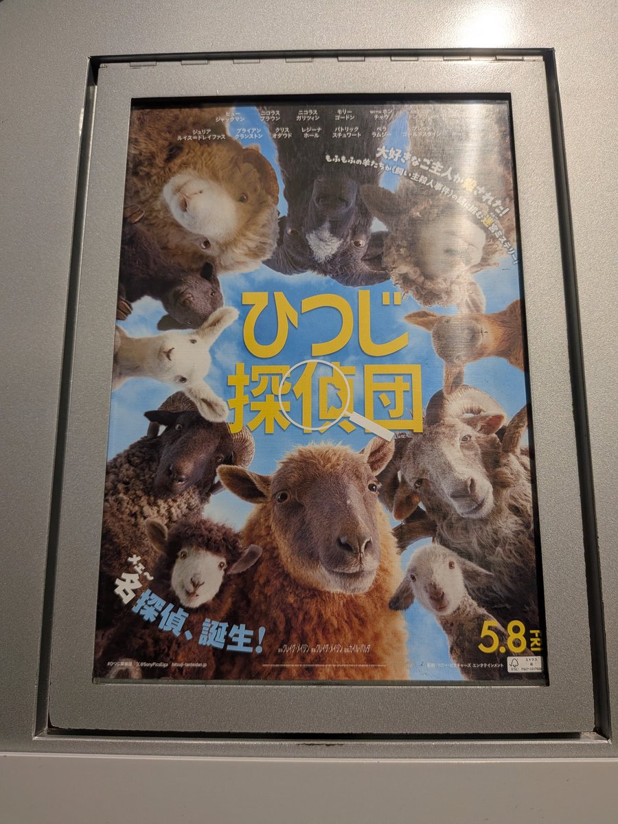 やっとひつじ観にきた🐏🐑🐏