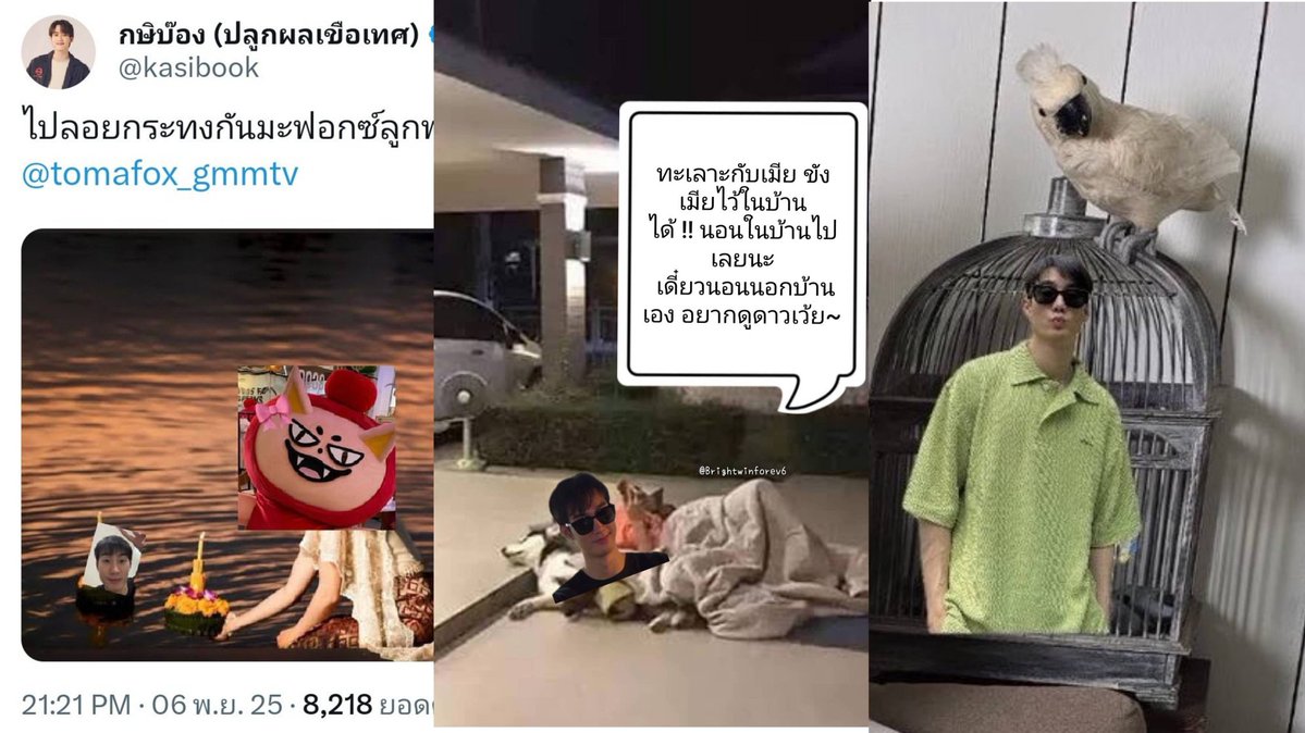 มัมหมีนุ้งโฟ้ด หัวใจเจมีไนน์ Call Me “คุณหนู” tweet media