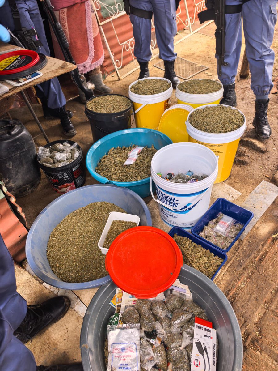 _ArriveAlive's tweet photo. Drug arrests in the Diamond Park informal settlement in Greenpoint, Kimberley

https://t.co/d5fhDUkoAB

#ArrieAlive #DrugArrests @SAPoliceService https://t.co/ykKAywriYu