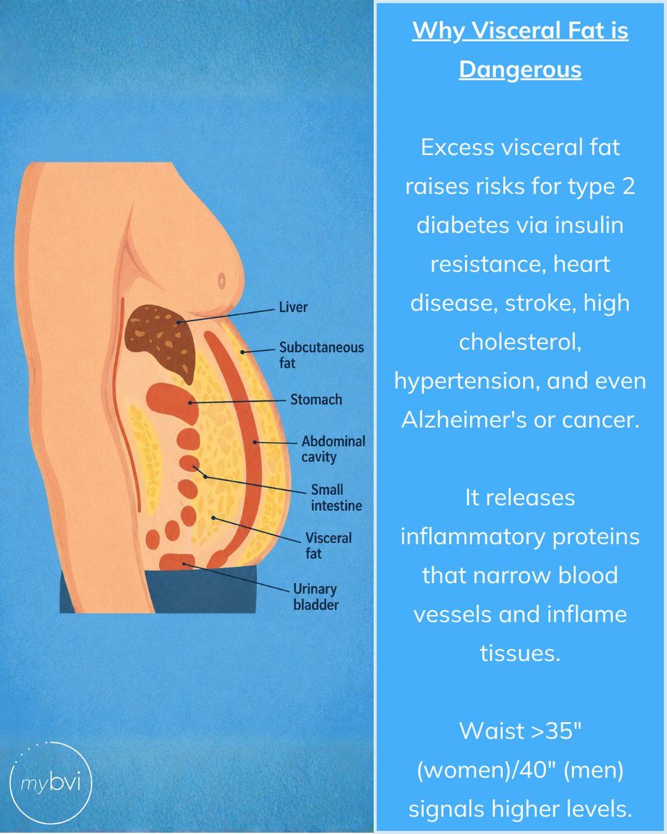 bodyvolume's tweet photo. The fat you can't pinch is the fat doing the most damage.

Visceral fat surrounds your organs, drives inflammation, and raises your risk of diabetes, heart disease &amp; more.

Science-backed ways to reduce it 👇

#visceralfat #healthjourney #healthylifestyle #newme #fitnessgoals https://t.co/hs6VhwkOGk