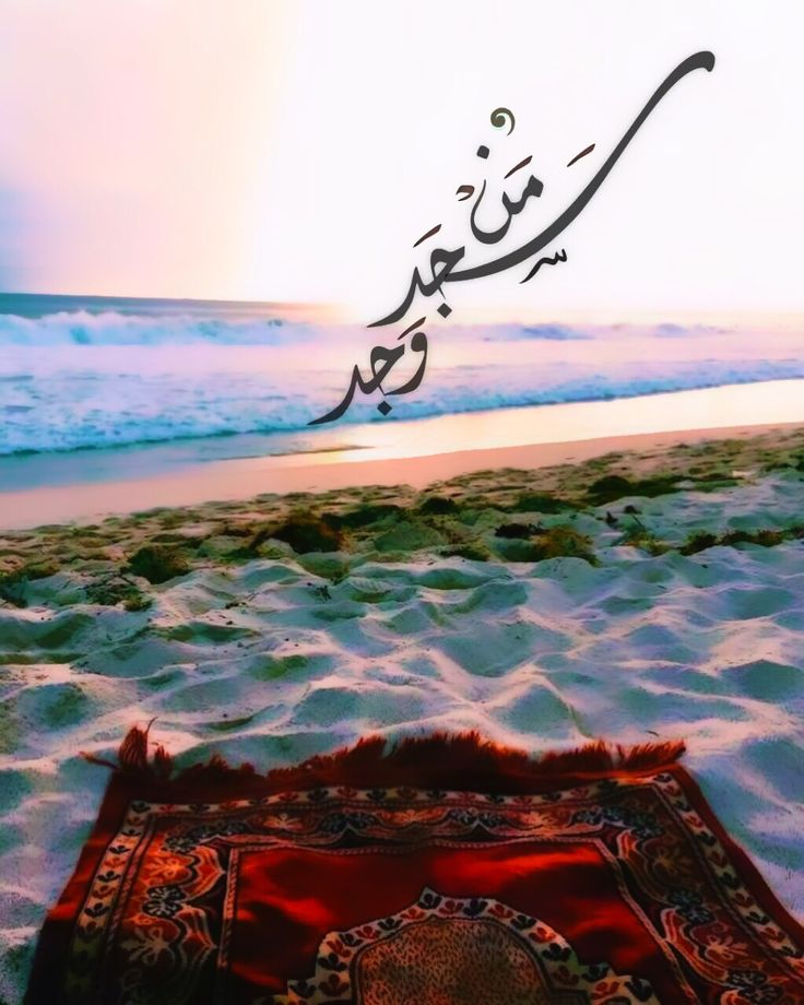 مُطمئِنةَ.! tweet media
