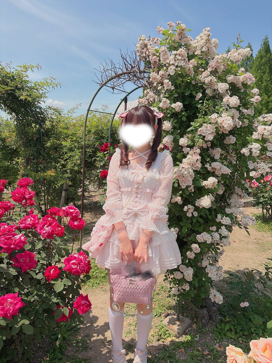 ( ᴗ ̫ ᴗ ) tweet media