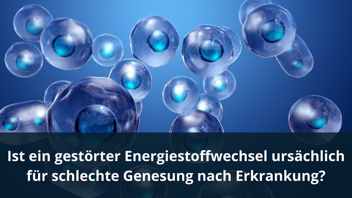 SennInfo's tweet photo. Ist ein gestörter Energiestoffwechsel ursächlich für schlechte Genesung nach Erkrankung? https://t.co/rmkTm5uDen https://t.co/flakTzPpEs