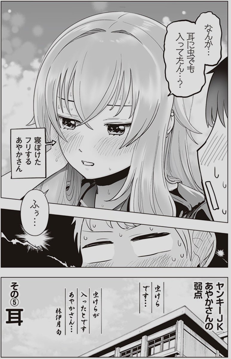(2/2) 