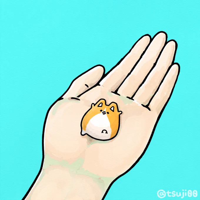 我が家の手乗りコーギーです。お納めください #愛犬の日