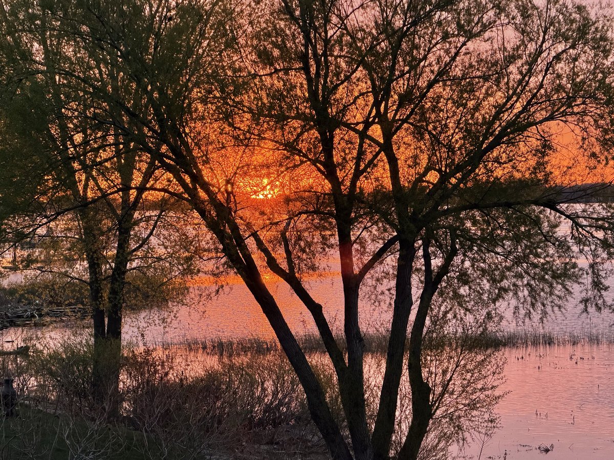 🌞Lise Gagné 📱📷🇨🇦⚜️🌎🙏🏼 tweet media