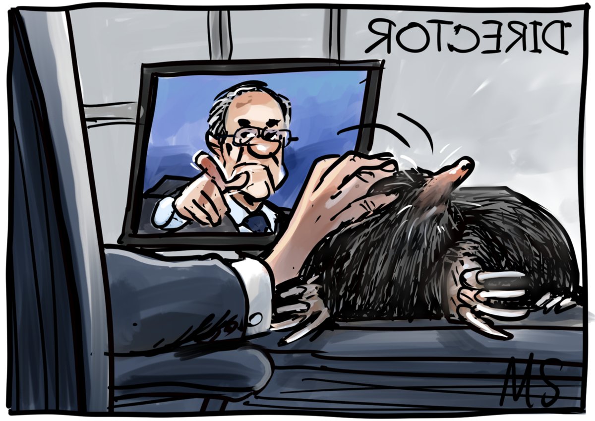 marselle tweet media