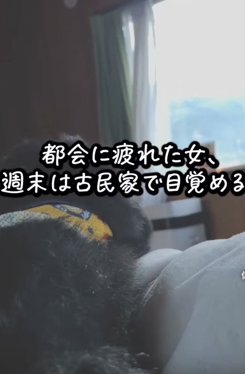 tabi1net's tweet photo. こみんかつどう報告

https://t.co/h8NTRDTrQz https://t.co/RWHkUoH1y7