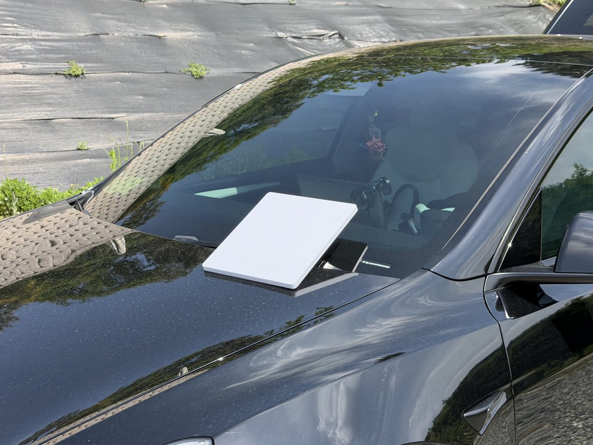 Tsla Chan tweet media