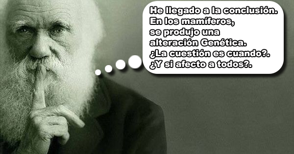 VOLVERE🇪🇸✝⚔⚖🥋 tweet media