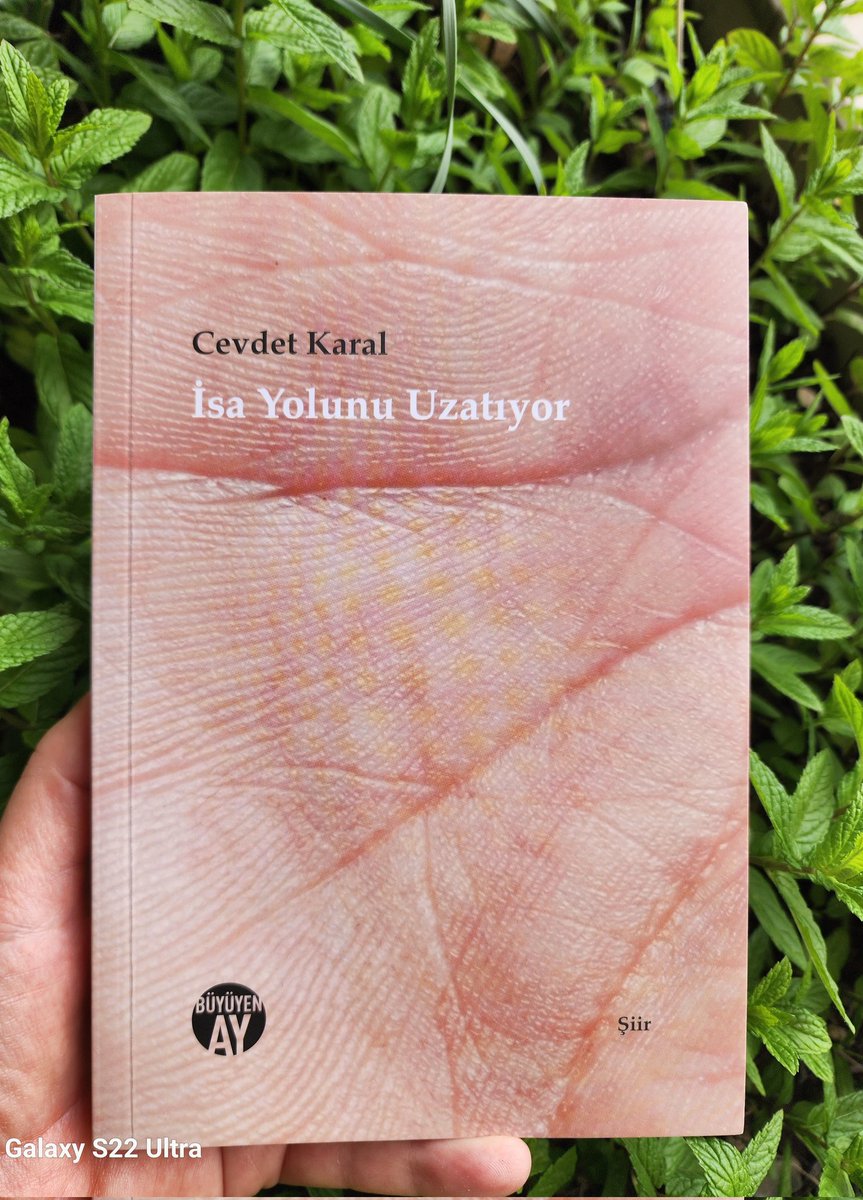 Leyla Arsal 🔭 tweet media