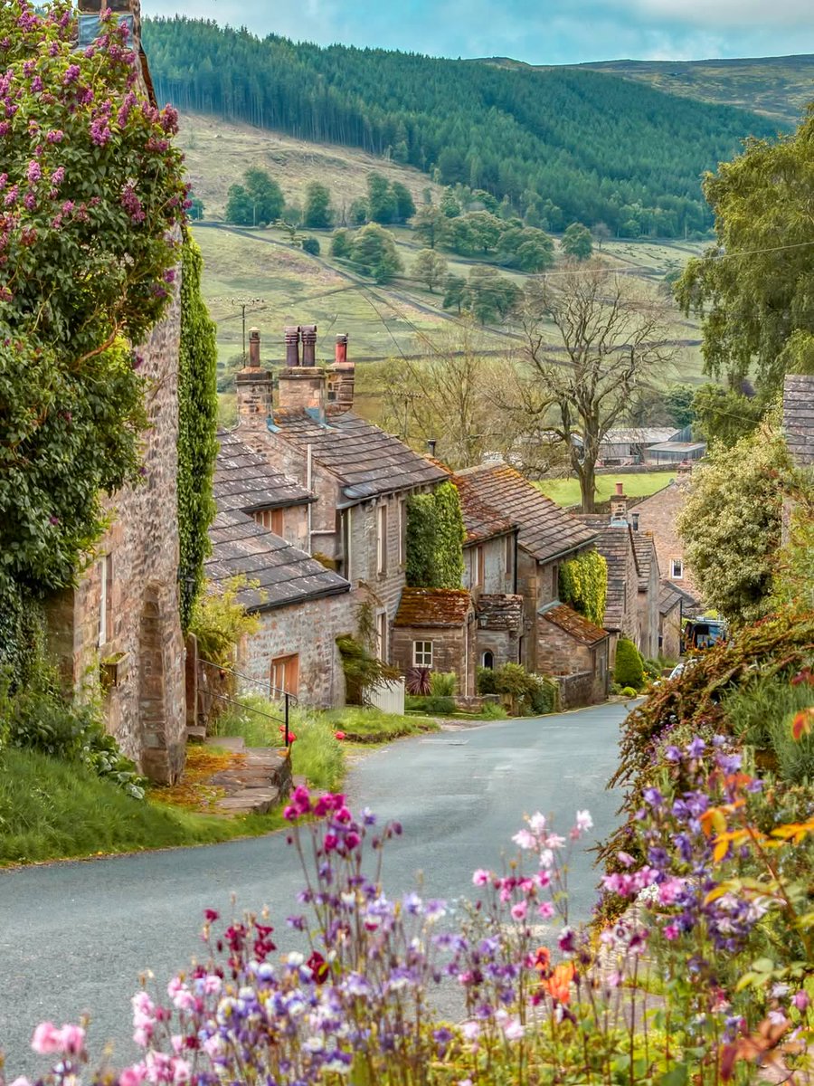 North Yorkshire tweet media