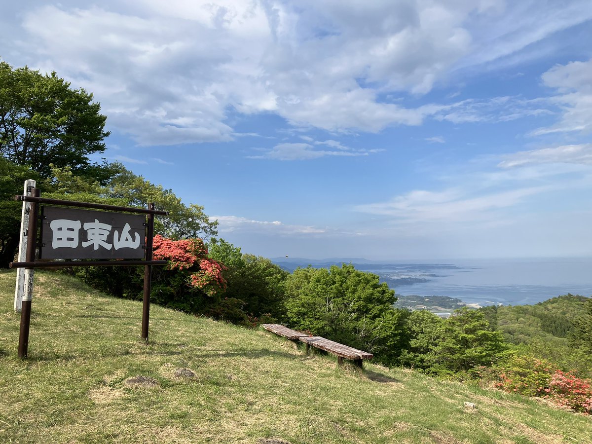 どんとウォーリー tweet media