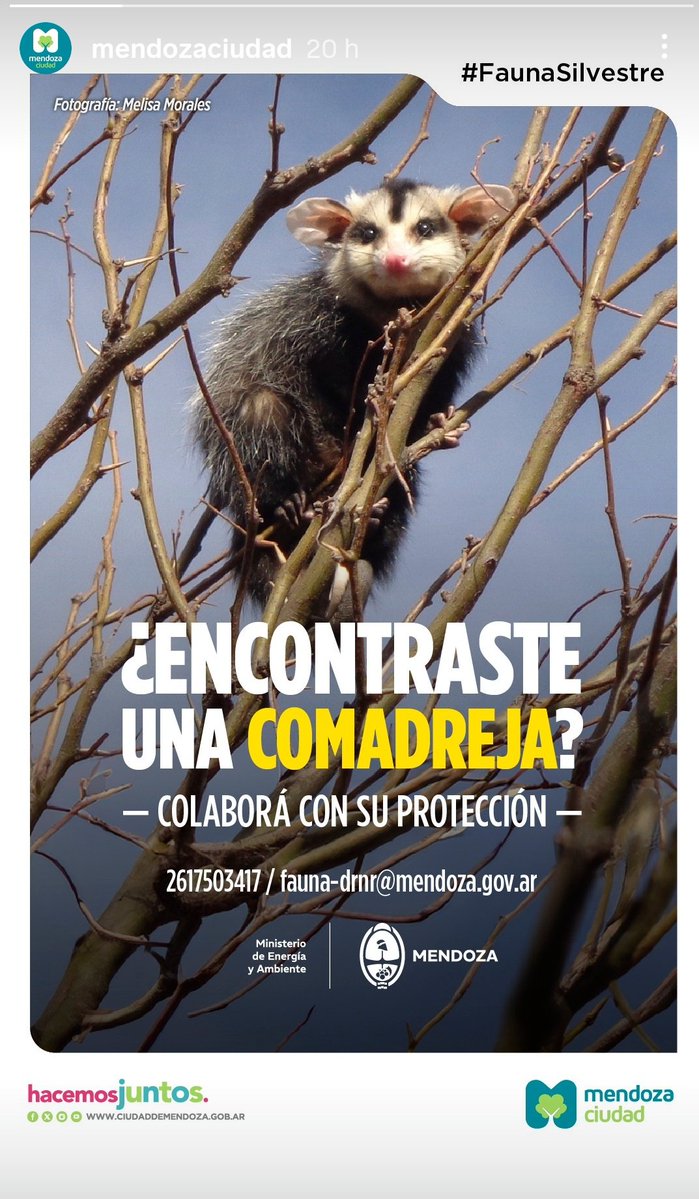 Sol tweet media