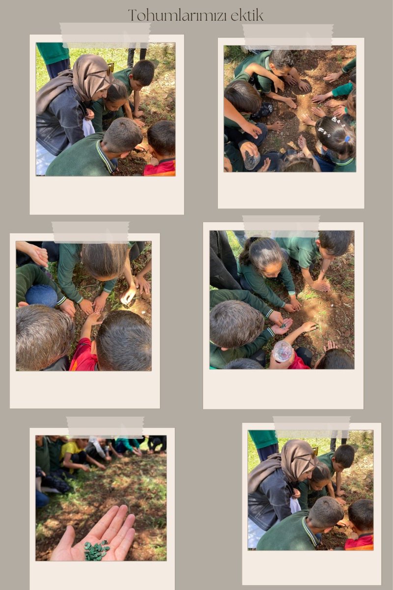 DamlaliIo's tweet photo. E twinning projemiz kapsamında okul müdürümüz kıymetli @Abdurrahmankchn , öğretmenlerimiz ve öğrencilerimiz ile birlikte okul bahçemizde tohum ekme etkinliği gerçekleştirdik.
@tcmeb 
@tuncay_akkoyun 
@ali_eyyupkoca 
@kiziltepemem47 
@akadirgms 
@makdag47 https://t.co/eH793vYbgZ