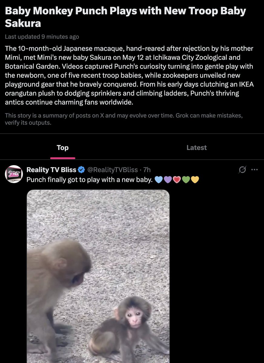 Zeeko tweet media