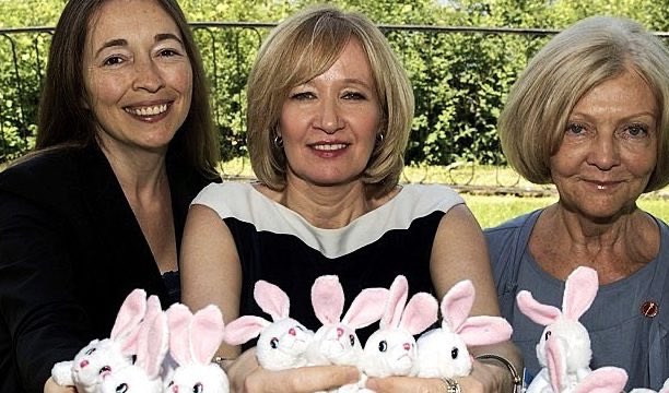 hollyanndoan's tweet photo. National Research Council @NRC_CNRC places 5-year $1.2 million order for lab rabbits. Follows long-running campaign by advocates including @LaureenHarper and @HumaneCanada to curb animal testing in labs.
https://t.co/UPabsR0z1S
@CamilleLabchuk @AnimalJustice #cdnpoli https://t.co/C1YoQIbwNW