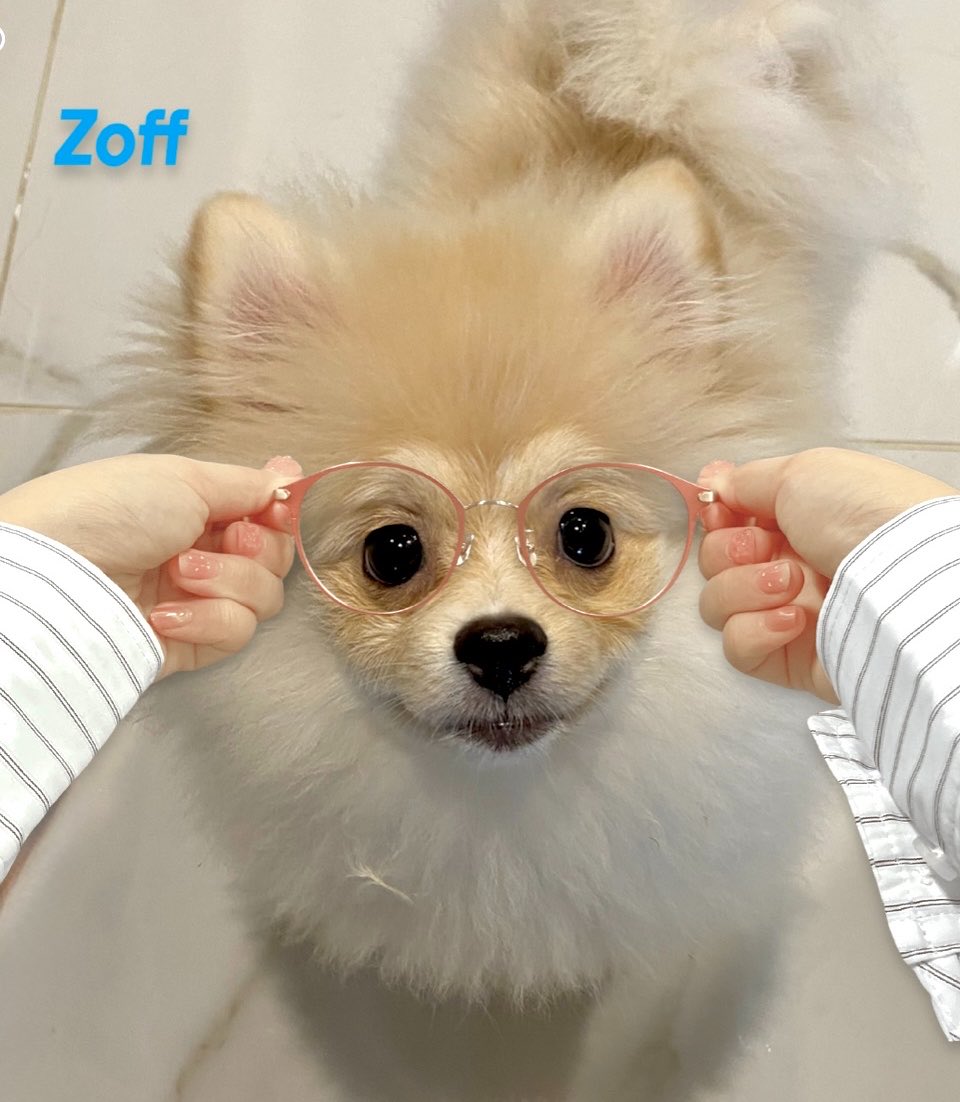 puppy時代で愛犬の日🤓🐵 #zoff #愛犬の日