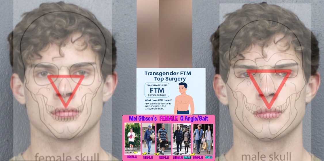 FTM & MTF Forensics tweet media