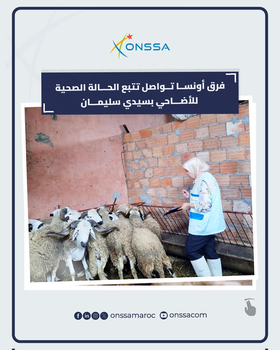 المكتب الوطني للسلامة الصحية للمنتجات الغذائية tweet media