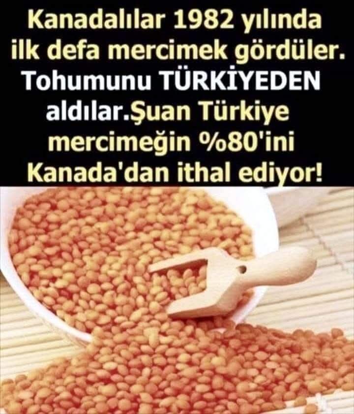 Recep Somuncu tweet media