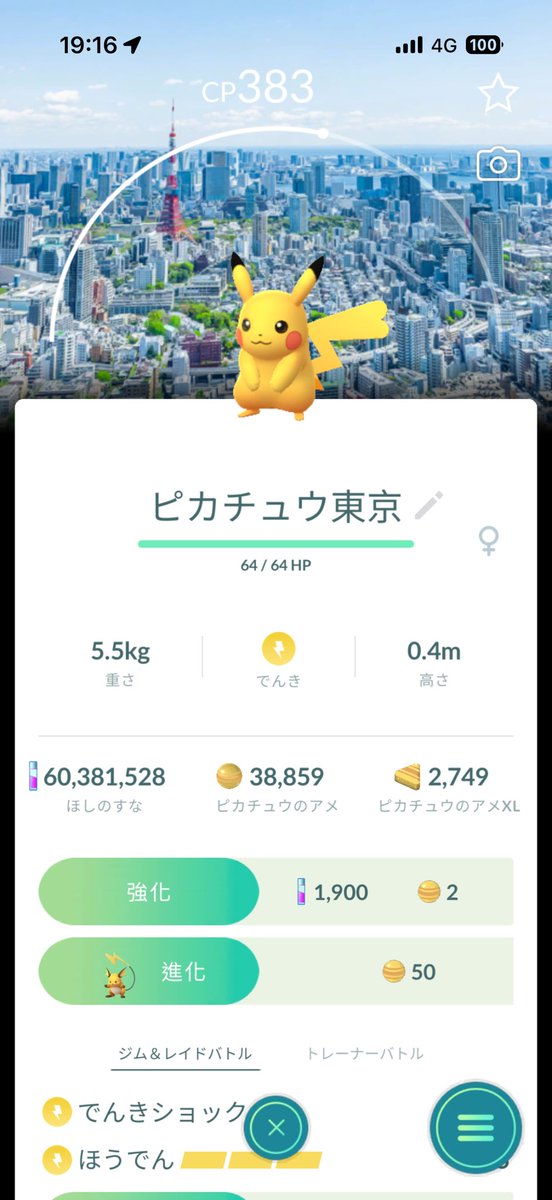 バブ tweet media