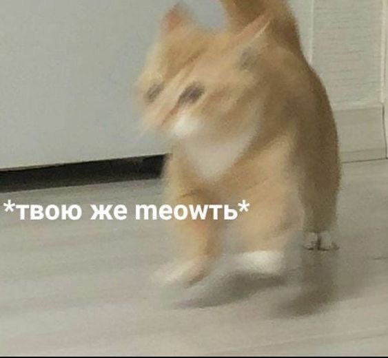 𝔹𝕠𝕓𝕓𝕪 𝔻𝕣𝕒𝕜𝕖 tweet media