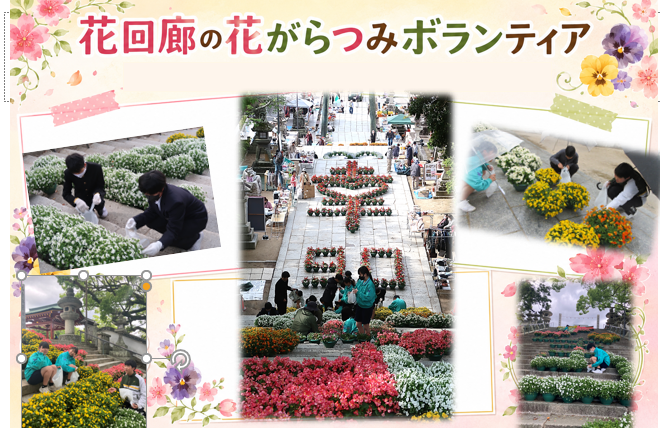 sabajhschool's tweet photo. ゴールデンウィーク中も毎朝、ボランティアの
生徒が花がら摘みをしてくれました。一人ひとりの
あたたかい気持ちが美しい花回廊を支えていました。 https://t.co/Uxr2joEKDU