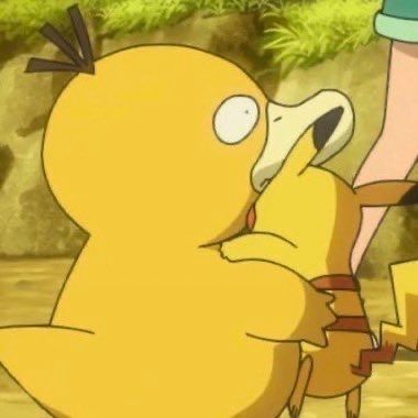 Pokémon Perfect Shots tweet media