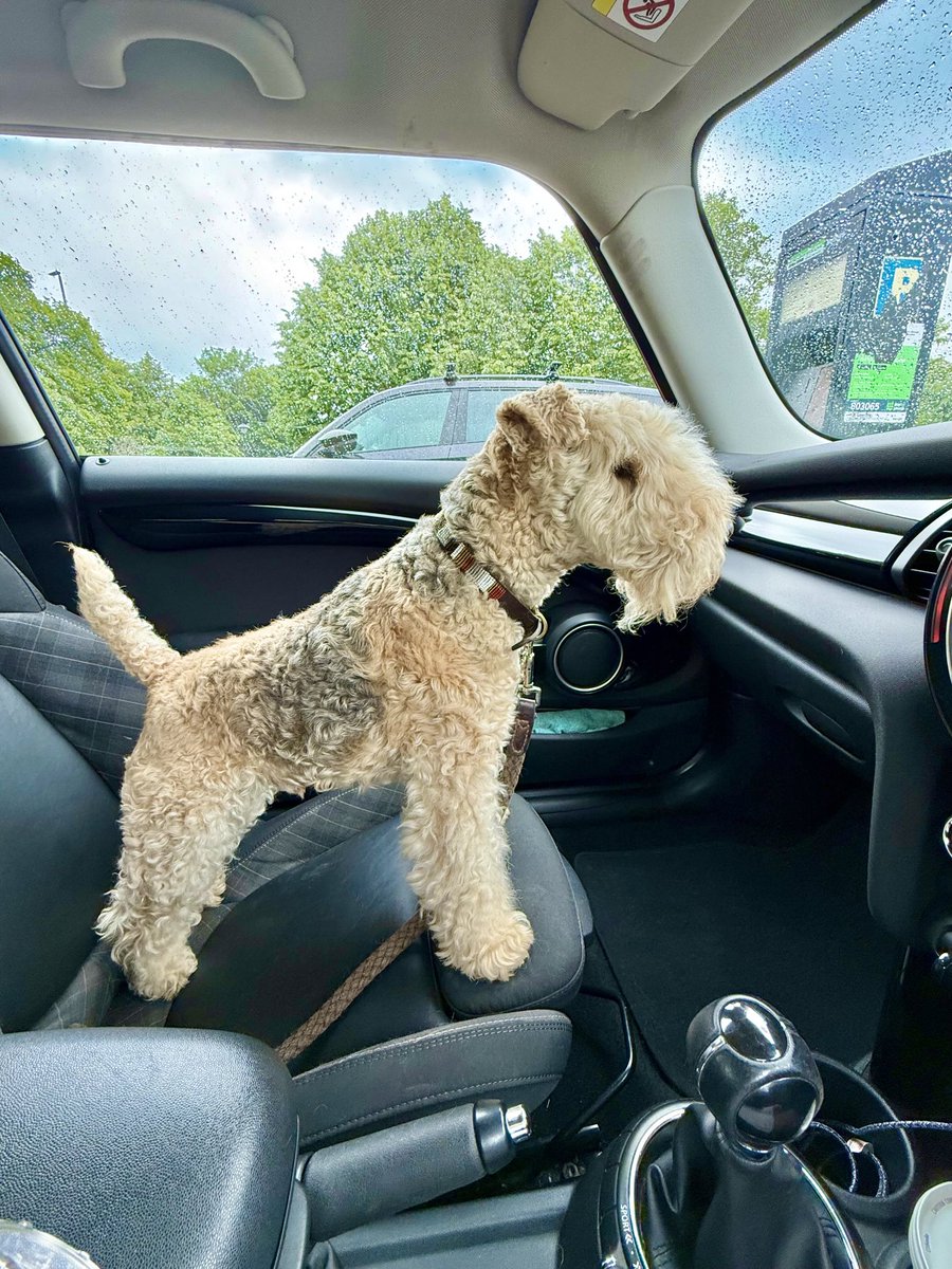 Bertie Lakeland tweet media