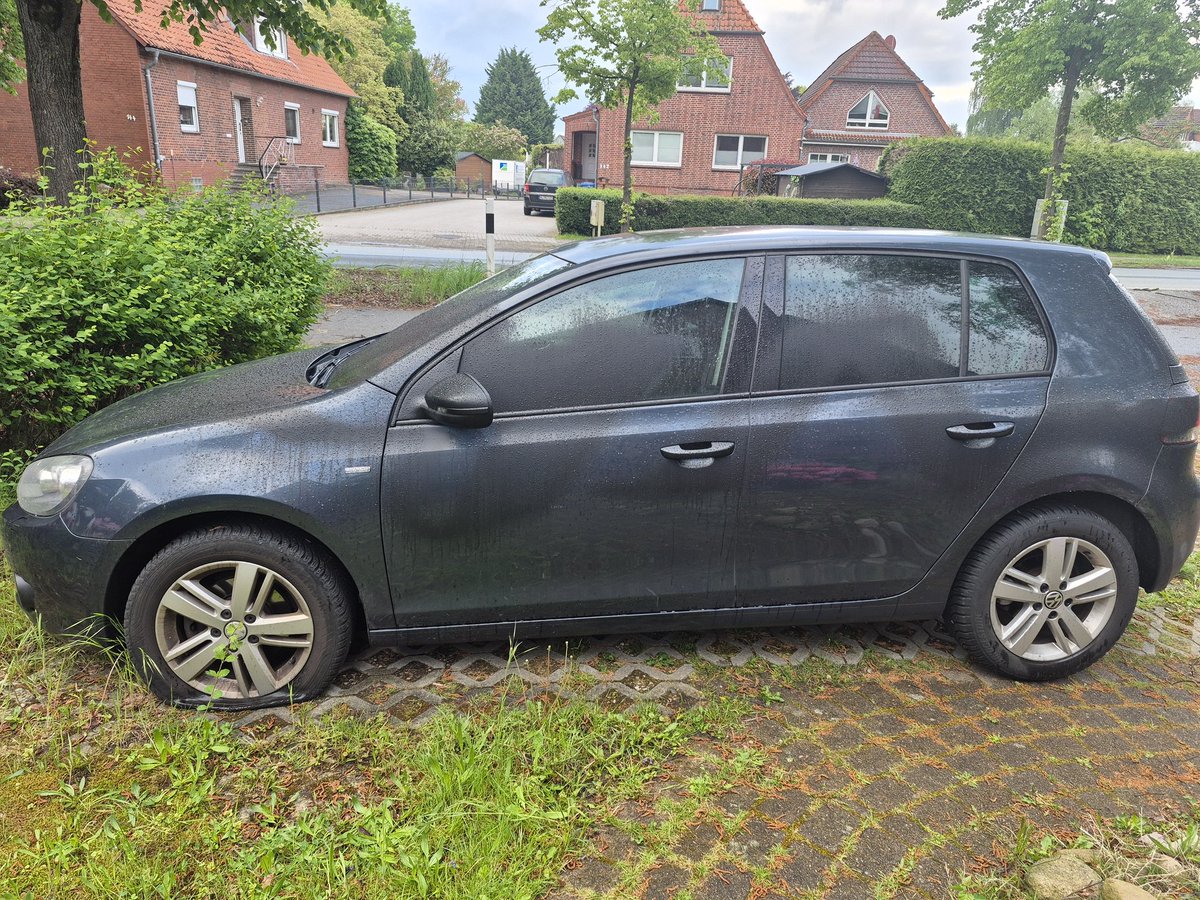 Reinhild Boßdorf ✌️🇩🇪 tweet media